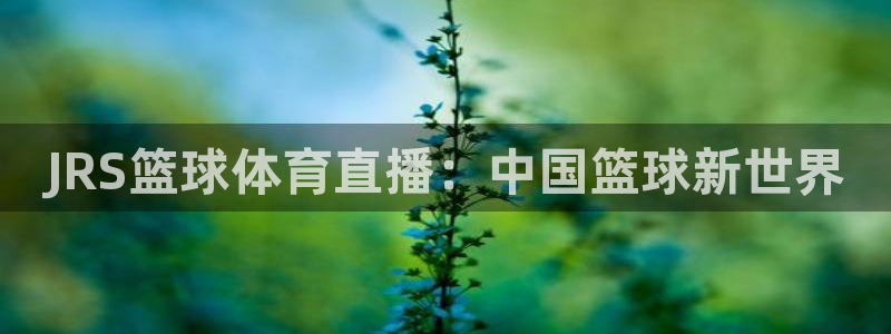 JRS篮球体育直播：中国篮球新世界