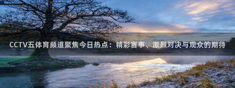 雨燕360体育免费直播高清视频大全